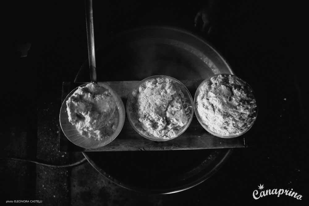 Canaprino is the new italian cheese by Maximum Hemp. Moments of creation: a wonderful view from above. Photo: Eleonora Castelli
