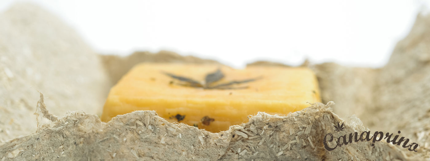 Canaprino Formaggio Pecorino alla Canapa HempCheese