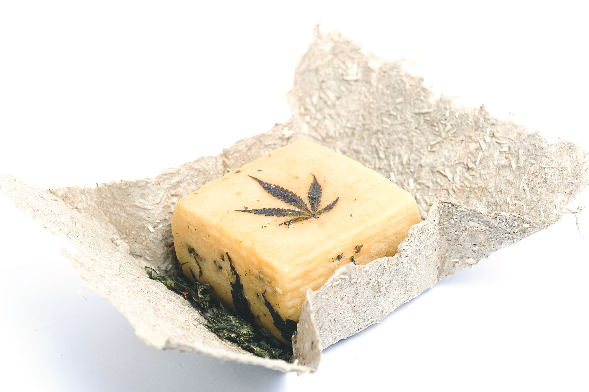 Canaprino pecorino alla canapa cannabis sativa formaggio Maximum Hemp Food hemp cheese italian